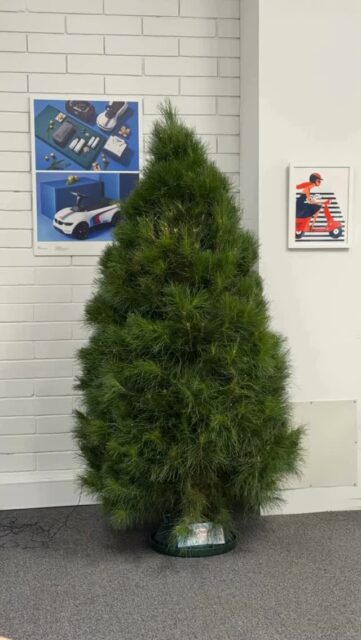 The little elves have been hard at work.🎅
It’s always a fun day in the Scooter office when we get to decorate the new tree, and let the festive feels roll in. 🎄
*It was also a total coincidence that we are all dressed in shades of blue and navy.