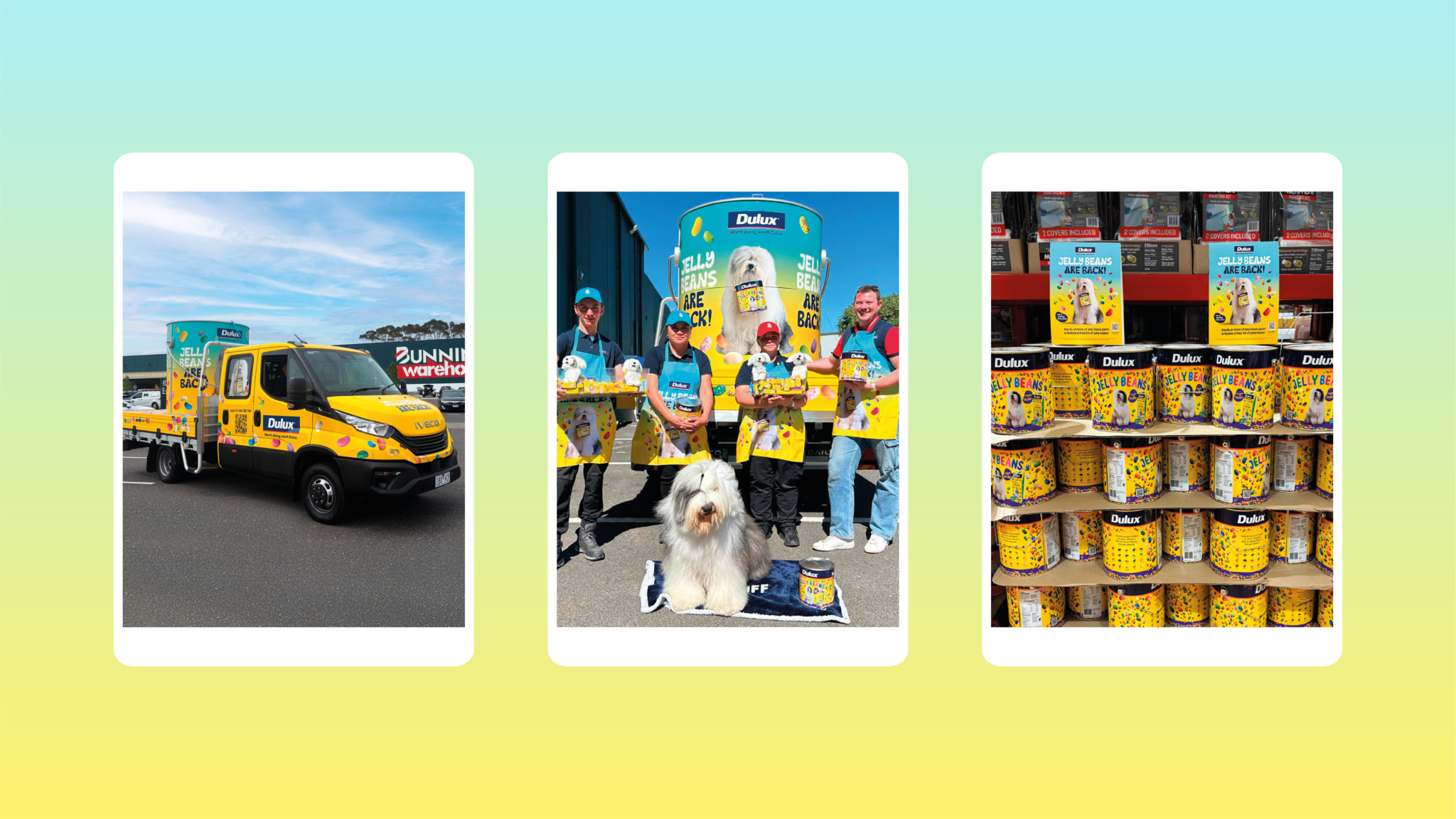 Jellybeans 2026 Landscape Social 1920x1080